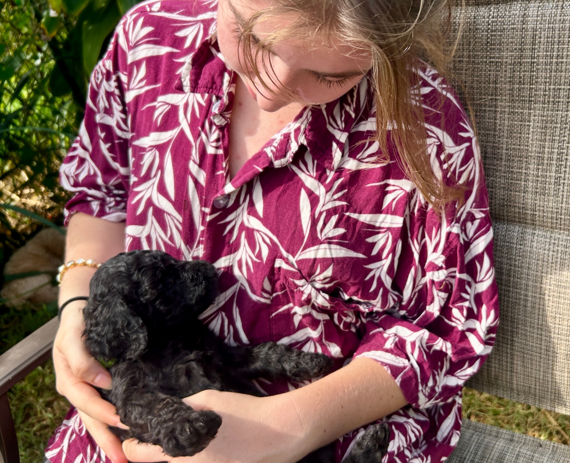 Week 4 puppy 11
